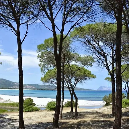Apartamento With One Bedroom In Provincia Di Olbia Tempio With Wonderful Sea View Shared Pool And Balcony 2 Km From The Beach Budoni